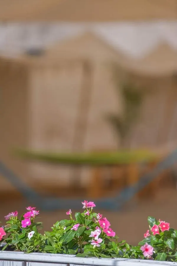 ホテルMidbarya Camping Eilat -מדבריא אילת キャンプ場