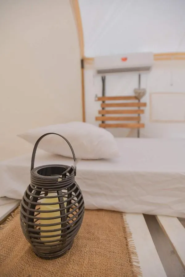 キャンプ場 ホテルMidbarya Camping Eilat -מדבריא אילת